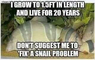 FB_IMG_1582676079300.jpg