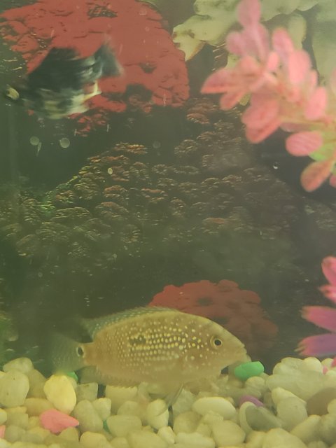 20200225_201857.jpg 20200225_201857.jpg