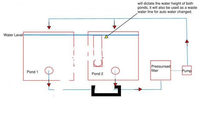 1162447-b2a3ecc28f442d9bfef02e15fe90be9eduo.jpg 1162447-b2a3ecc28f442d9bfef02e15fe90be9eduo.jpg