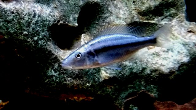 20200227_064915.jpg