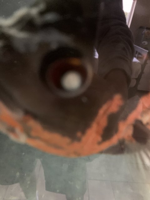image.jpg
