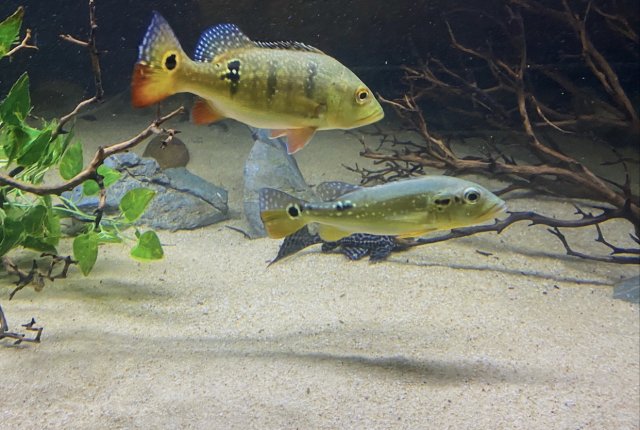 6FA186DA-1D23-4D89-879E-DE216A6E9051.jpeg 6FA186DA-1D23-4D89-879E-DE216A6E9051.jpeg