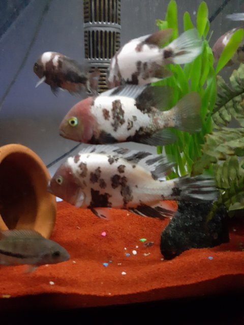 20191029_061730.jpg