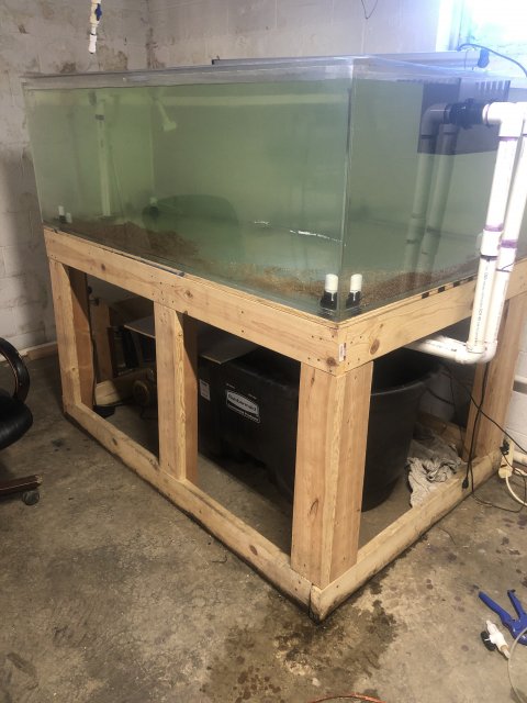 Acrylic aquarium sales for sale