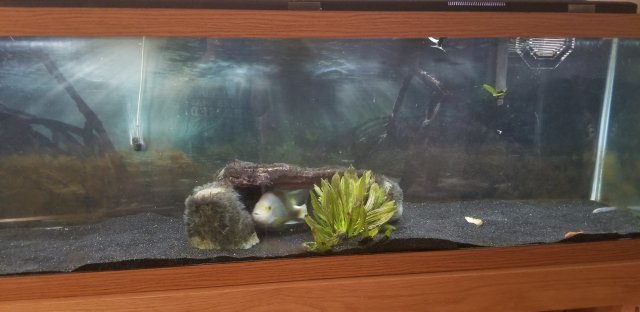 20200228_153448.jpg 20200228_153448.jpg