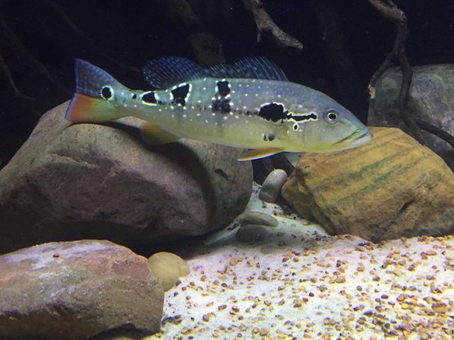 B1BA3ACC-686D-4D1D-BBF6-B712BF0B8B56.jpeg B1BA3ACC-686D-4D1D-BBF6-B712BF0B8B56.jpeg