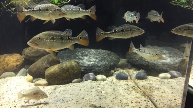 D90F1ACE-91B0-498C-8F09-71317EB590DE.jpeg D90F1ACE-91B0-498C-8F09-71317EB590DE.jpeg