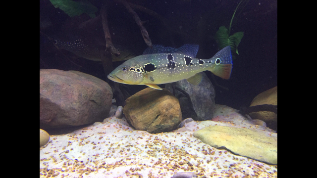 9002D90F-3BED-46B3-BBE7-0A3D1C8949A1.png 9002D90F-3BED-46B3-BBE7-0A3D1C8949A1.png