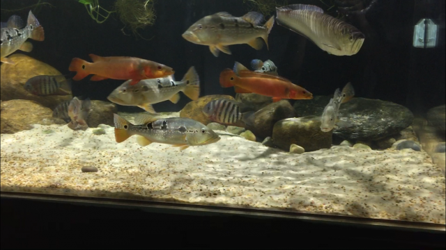 81500BC4-D23F-4A39-8820-00FE7DB079ED.png 81500BC4-D23F-4A39-8820-00FE7DB079ED.png