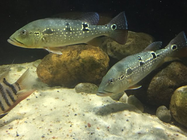 92812407-01F1-472F-A661-1267C9117350.jpeg 92812407-01F1-472F-A661-1267C9117350.jpeg