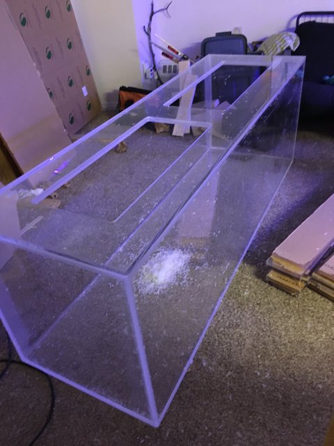 AB039C31-82E2-4C38-8D72-99F9A2EFFEEC.jpeg AB039C31-82E2-4C38-8D72-99F9A2EFFEEC.jpeg