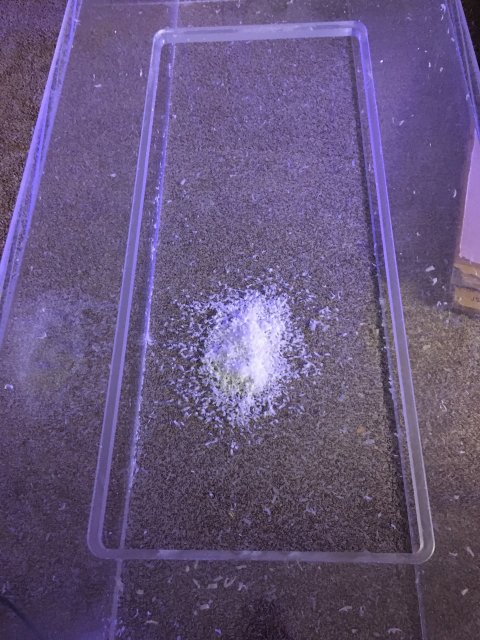 9CFAFE9B-F4C5-414C-86FC-28BB376BE76E.jpeg 9CFAFE9B-F4C5-414C-86FC-28BB376BE76E.jpeg