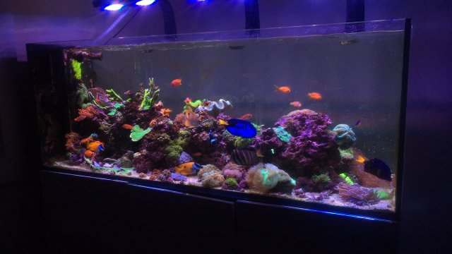 86BF37B9-541A-4C63-98BC-0B7C75C2E219.jpeg 86BF37B9-541A-4C63-98BC-0B7C75C2E219.jpeg