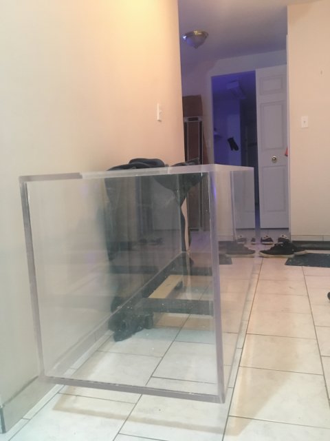 2ED280C1-CD8C-4A02-95E9-D3968D433C35.jpeg 2ED280C1-CD8C-4A02-95E9-D3968D433C35.jpeg