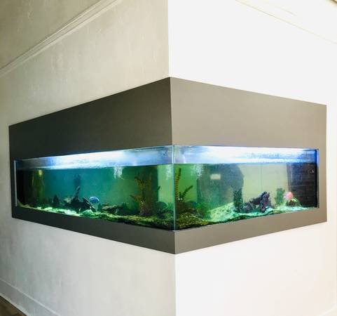 fish tank.jpg
