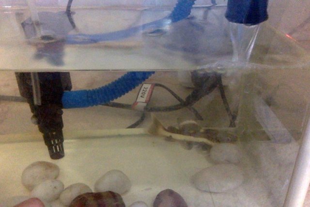 Photo on 12-03-20 at 20.52.jpg