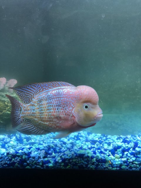 76A401C4-2755-465A-8505-EA12DE6F2361.jpeg 76A401C4-2755-465A-8505-EA12DE6F2361.jpeg