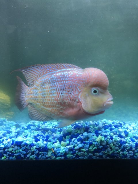 D378C435-8102-4D28-90E2-B370CA967A0E.jpeg D378C435-8102-4D28-90E2-B370CA967A0E.jpeg