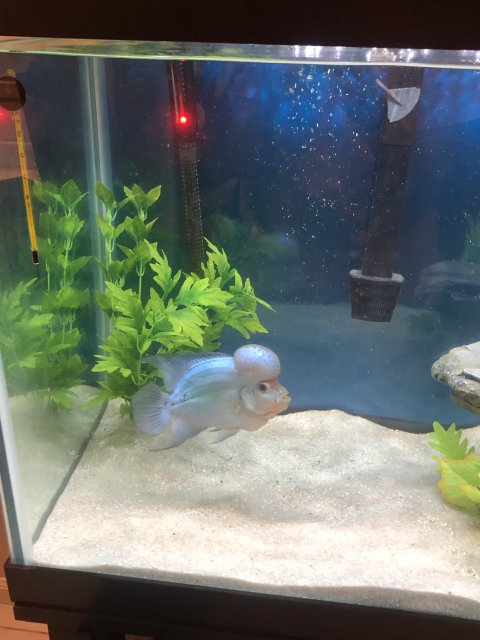 ADCC574B-A9DD-4B02-947F-0269762E3D63.jpeg ADCC574B-A9DD-4B02-947F-0269762E3D63.jpeg