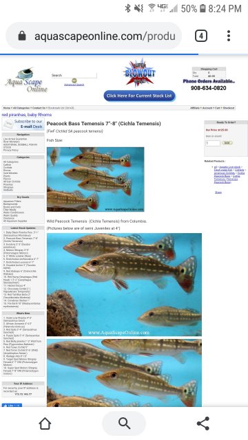 Screenshot_20200312-202446_Chrome.jpg