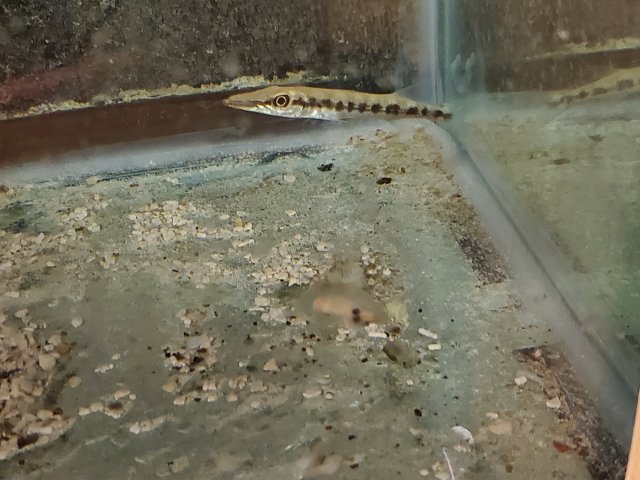 20200306_201204.jpg
