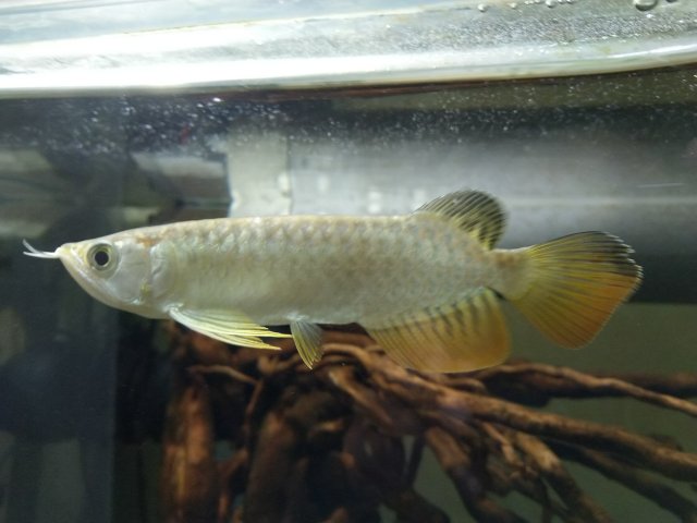 IMG_20200318_223915.jpg IMG_20200318_223915.jpg