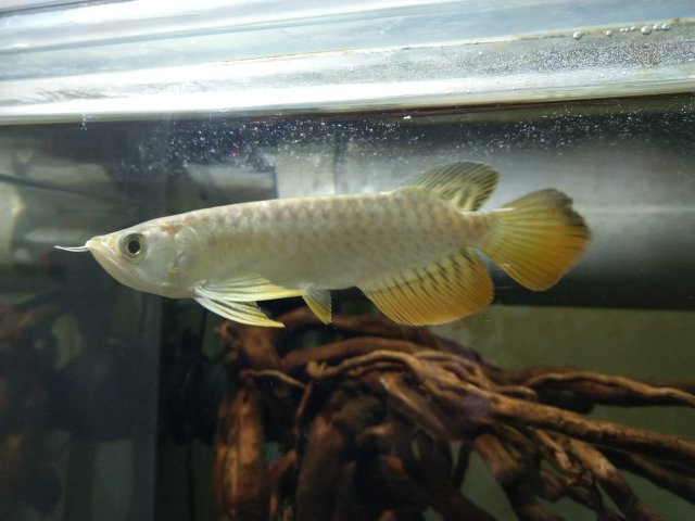 IMG_20200318_223917.jpg IMG_20200318_223917.jpg