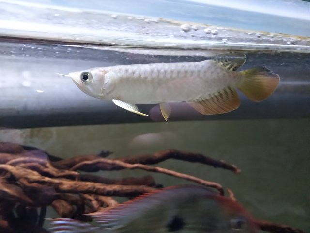 IMG_20200318_223952.jpg IMG_20200318_223952.jpg