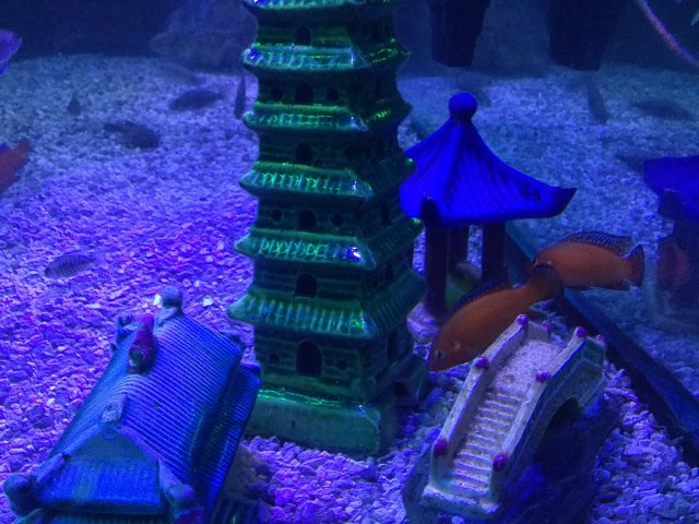 35368871-2876-4416-BF57-B3174110B37F.jpeg