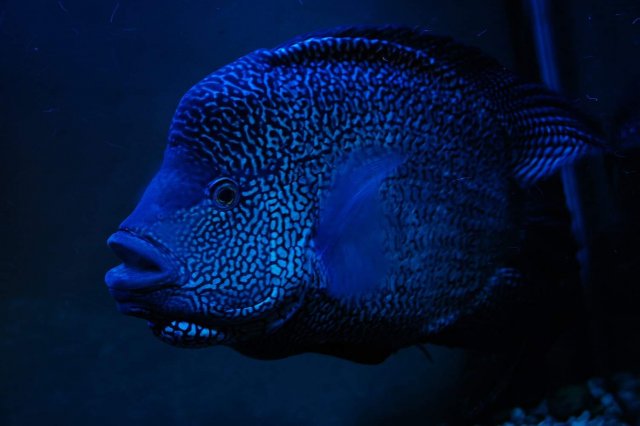 27500635_571801426497073_956322136813582319_o.jpg 27500635_571801426497073_956322136813582319_o.jpg