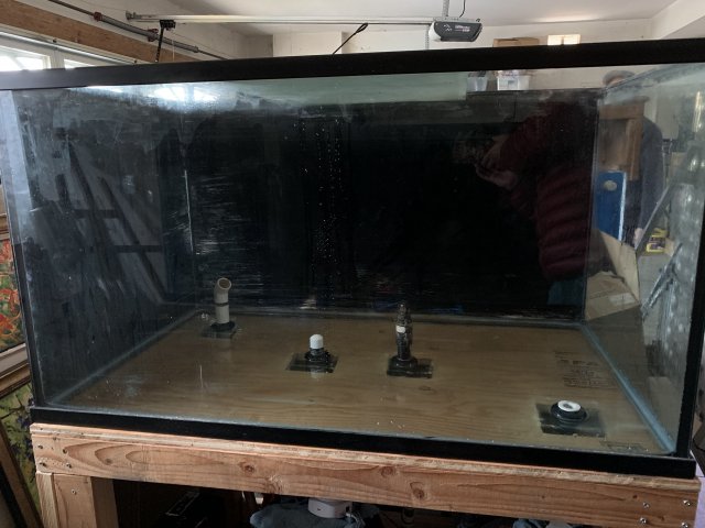 IMG_9429.jpeg IMG_9429.jpeg