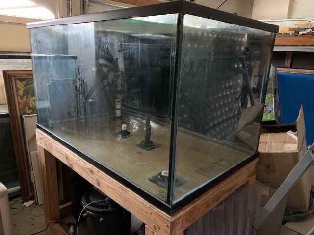 IMG_9431.jpeg IMG_9431.jpeg