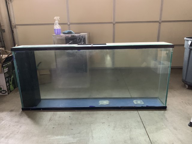 IMG_9439.jpeg IMG_9439.jpeg