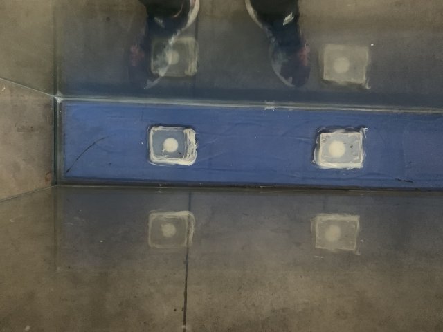 IMG_9442.jpeg IMG_9442.jpeg