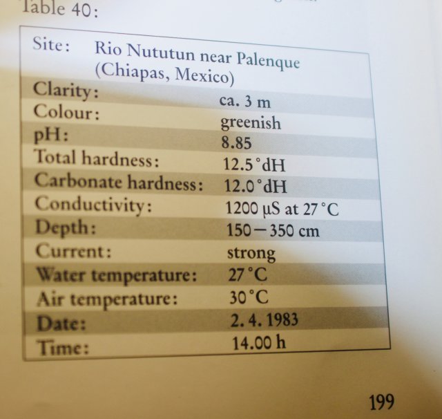 831F57A2-B5A0-4575-8C14-5F8384697AF5_1_201_a.jpeg 831F57A2-B5A0-4575-8C14-5F8384697AF5_1_201_a.jpeg