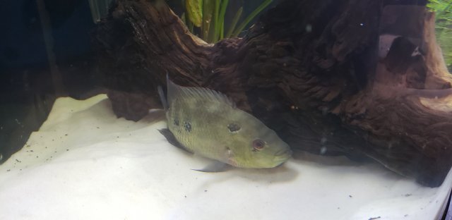 20200324_165855.jpg 20200324_165855.jpg