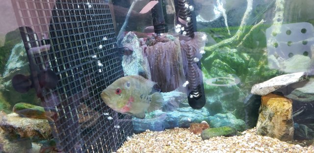 20200323_113250.jpg 20200323_113250.jpg