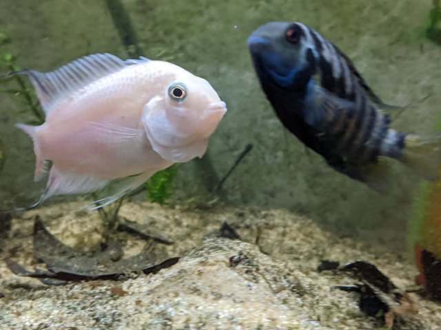 MVIMG_20200327_000201.jpg