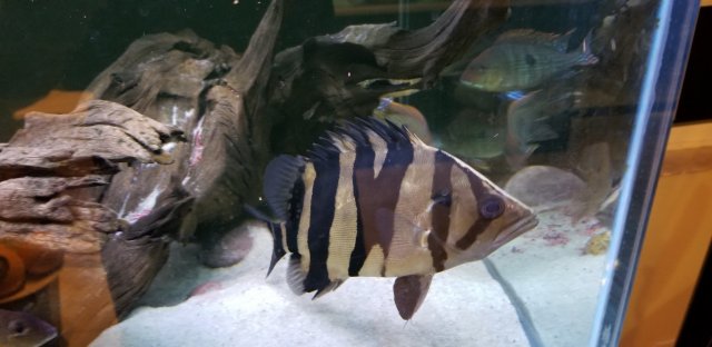 20200229_220124.jpg