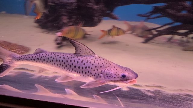 VideoCapture_20200325-020048.jpg