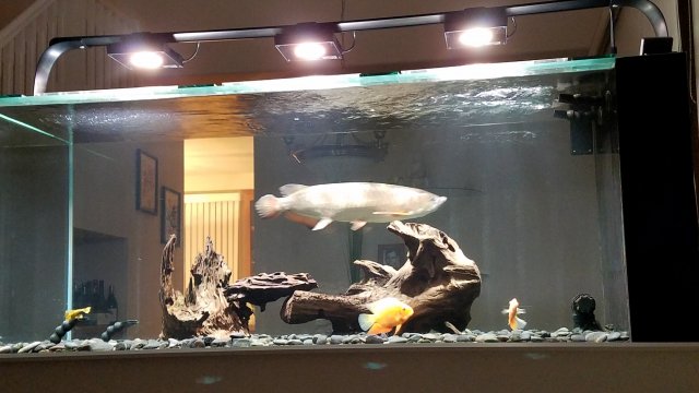 20190204_202629.jpg