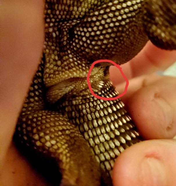 20200330_174147.jpg 20200330_174147.jpg