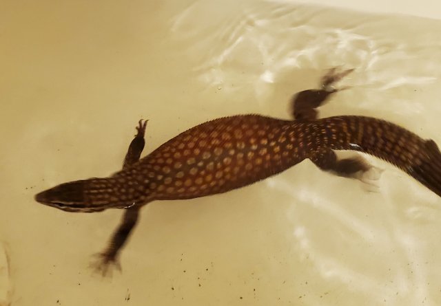 20200330_173944.jpg 20200330_173944.jpg