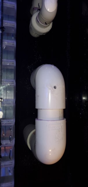 20200330_224500.jpg