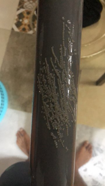 3CF9D30E-A3D9-4BD7-A830-0817C2660A2C.jpeg 3CF9D30E-A3D9-4BD7-A830-0817C2660A2C.jpeg