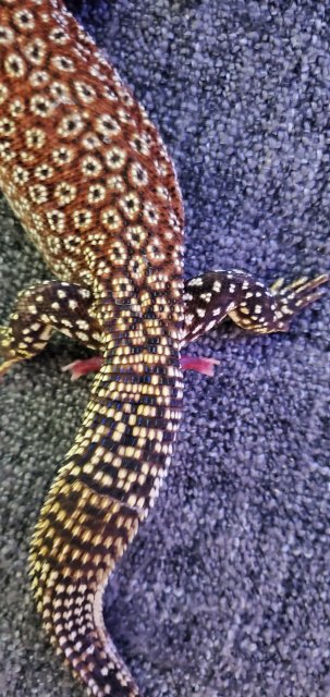 20200329_162717.jpg 20200329_162717.jpg