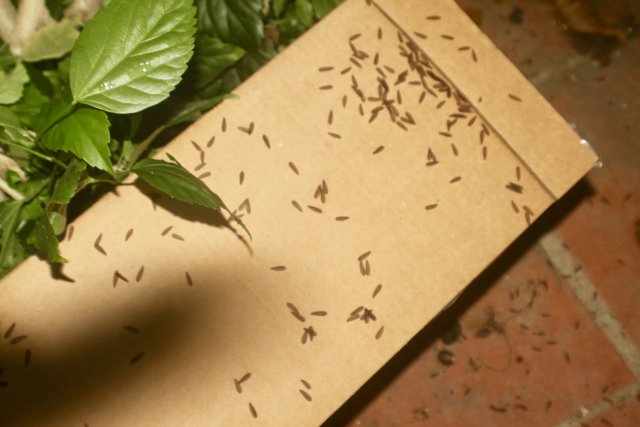 C01DDF1A-E3BB-48C0-985C-8209C04B1DBE_1_201_a.jpeg C01DDF1A-E3BB-48C0-985C-8209C04B1DBE_1_201_a.jpeg