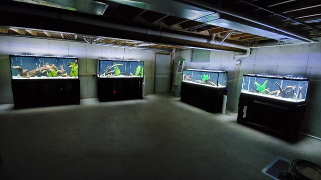 20200123_163712.jpg