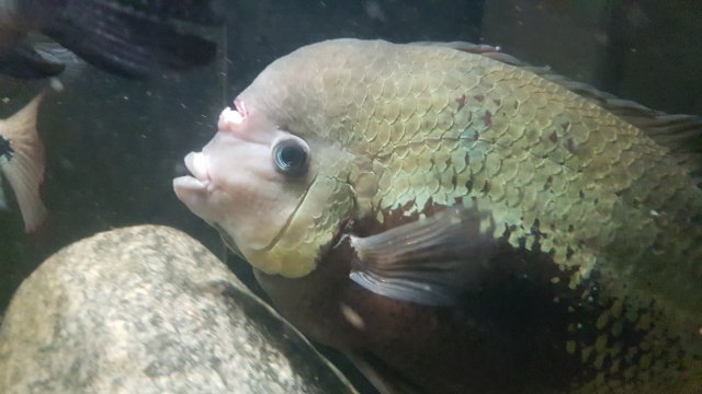 20200401_213014.jpg