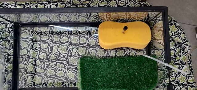 IMG_20200402_171325.jpg IMG_20200402_171325.jpg